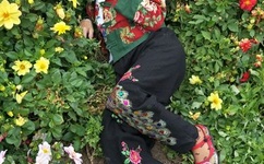 波兰R级《欲燃》观看